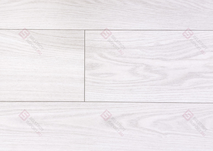 Дуб Арчи ROC01