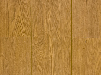 Дуб Медовый DF03-F