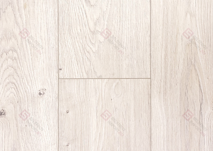 Дуб Барлоу ROC02