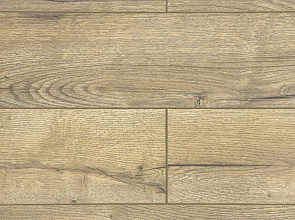Ламинат FLoor a House Premium 10 мм Дуб Lagom B 557