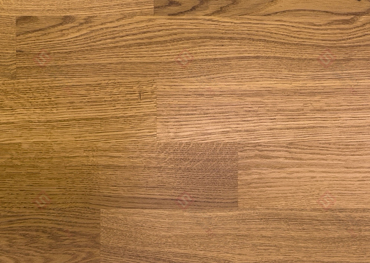 Паркетная доска Focus Floor Дуб Levante 3S