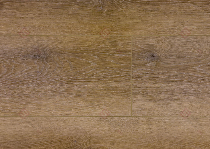 Дуб Вестерн