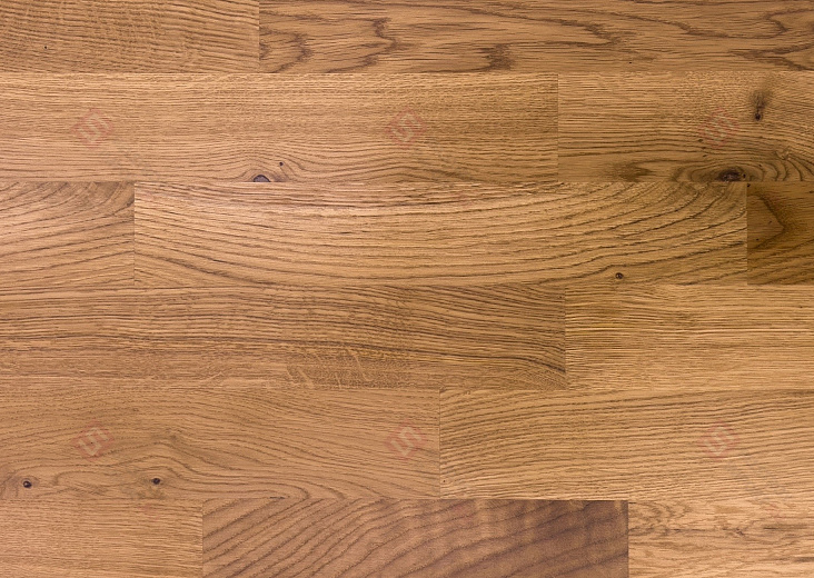 Паркетная доска Focus Floor Дуб Blanco Trend Lacquered 3S