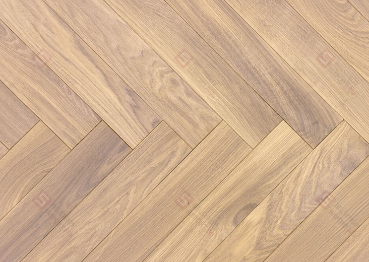 Дуб Латте селект