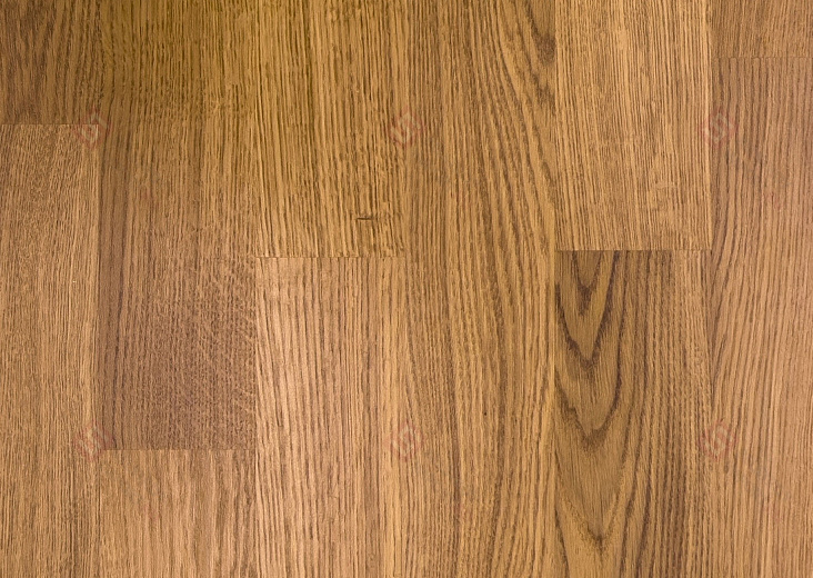 Паркетная доска Focus Floor Дуб Levante 3S