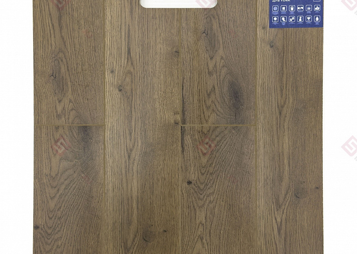 Ламинат FLoor a House Premium 10 мм Дуб York B 564