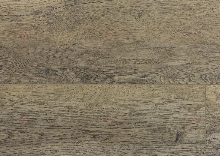 SPC ламинат Floorwood Quantum Дуб Томсон 8804