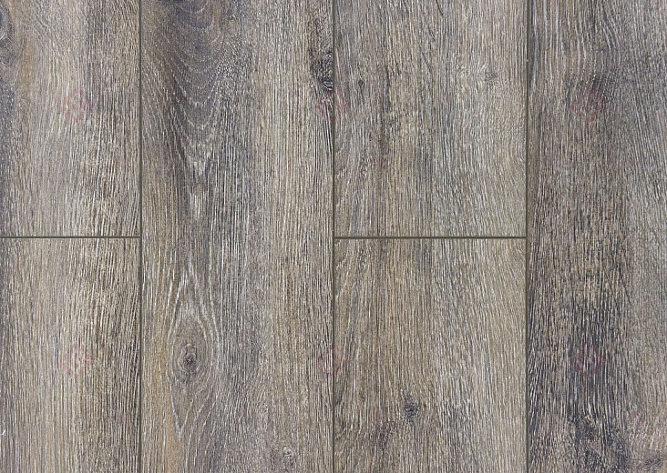 Ламинат FLoor a House Premium 10 мм Дуб Baron B 540