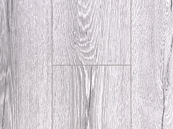 Вяз Фишер ROC03