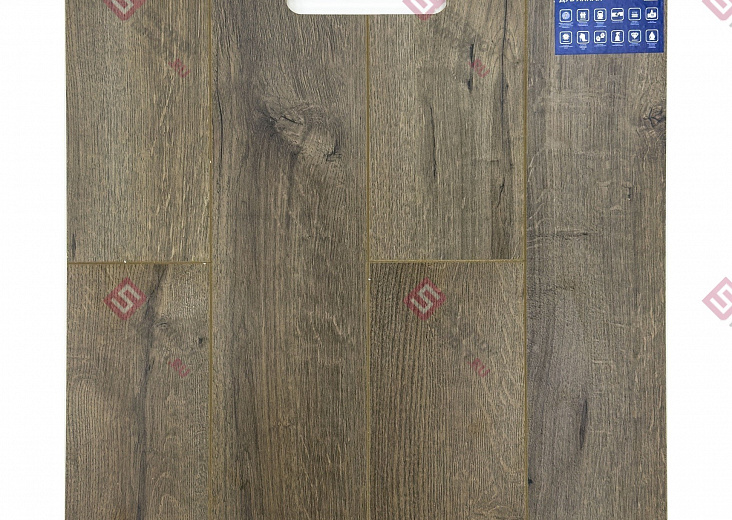Ламинат FLoor a House Premium 10 мм Дуб Arhan B 601