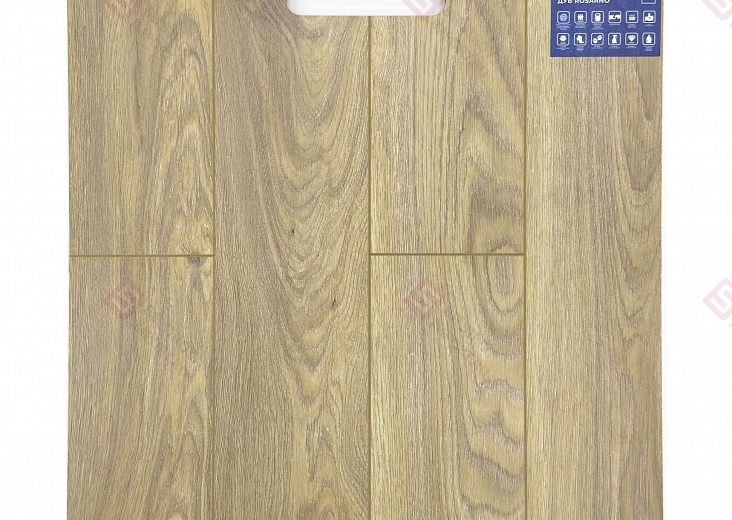 Ламинат FLoor a House Premium 10 мм Дуб Rosarno B 519