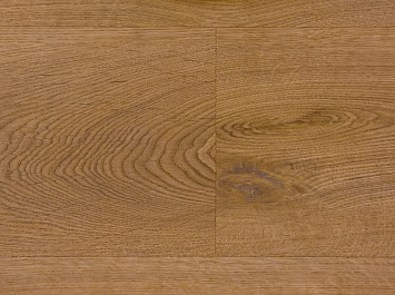 Дуб пустынный OSPC20264