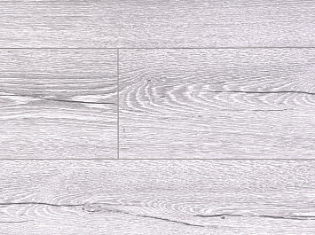 Вяз Фишер ROC03