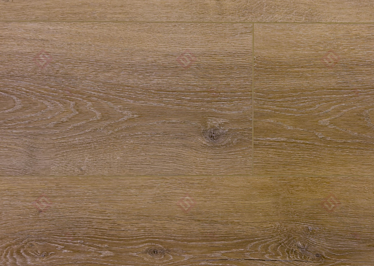 Дуб Вестерн