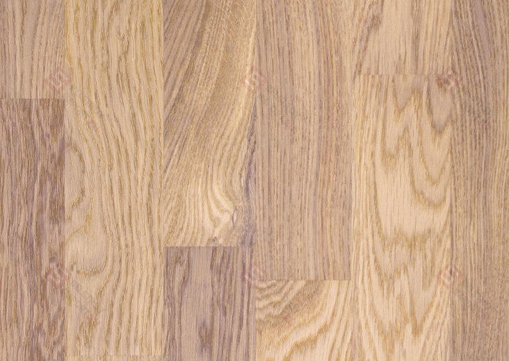 Паркетная доска Focus Floor Дуб Storm White Matt 3S