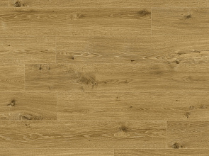 Виниловые полы Clix Floor LVT Дуб классический золотой CXCL 40064