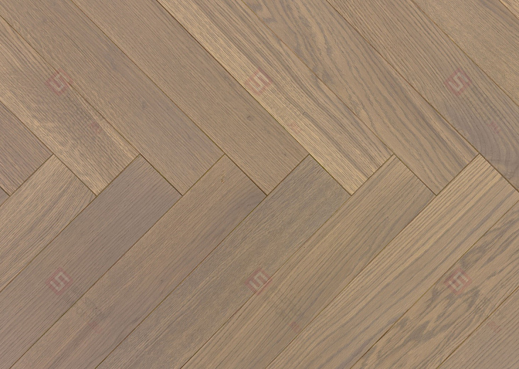 Дуб Шамбор селект