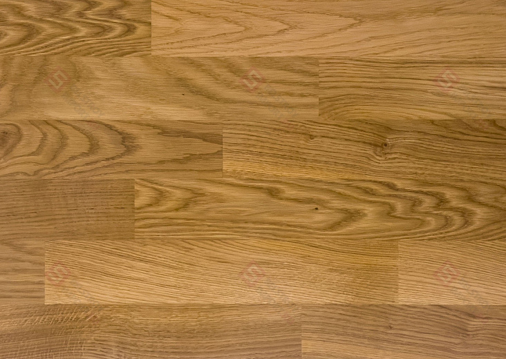 Паркетная доска Focus Floor Дуб Libeccio High Gloss 3S