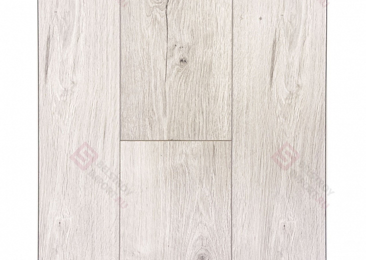 Дуб Гудвин ROC04