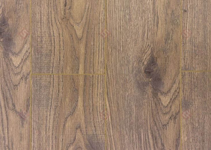 Дуб Дориан ROC47