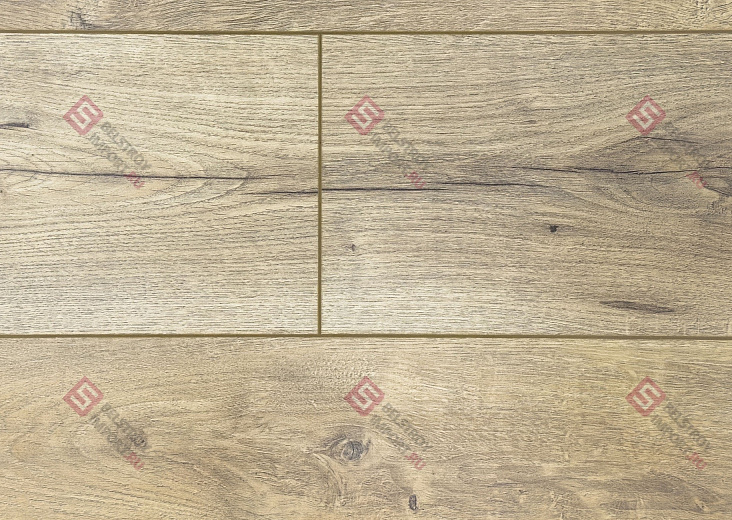 Ламинат FLoor a House Standard 12 мм Дуб Nobl B 113