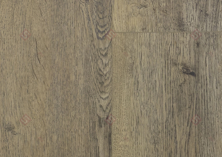 SPC ламинат Floorwood Quantum Дуб Томсон 8804