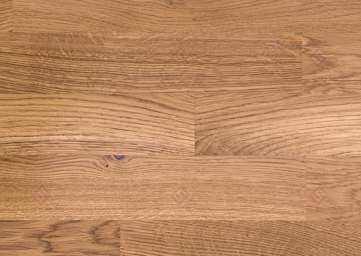 Паркетная доска Focus Floor Дуб Blanco Trend Lacquered 3S