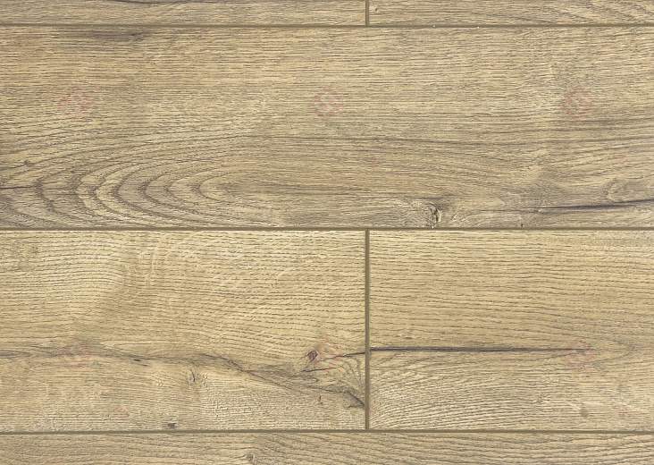 Ламинат FLoor a House Premium 10 мм Дуб Lagom B 557