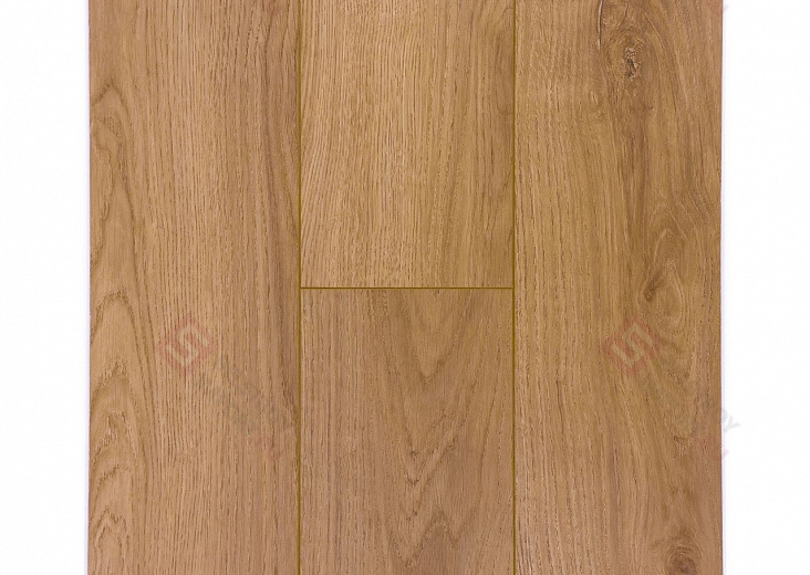 Ламинат Icon Floor Lime Дуб Спрингстин LM-307