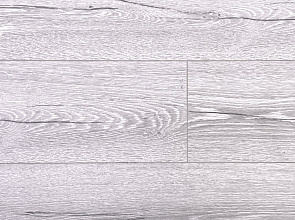 Вяз Фишер ROC03