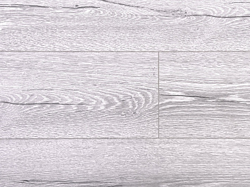 Вяз Фишер ROC03