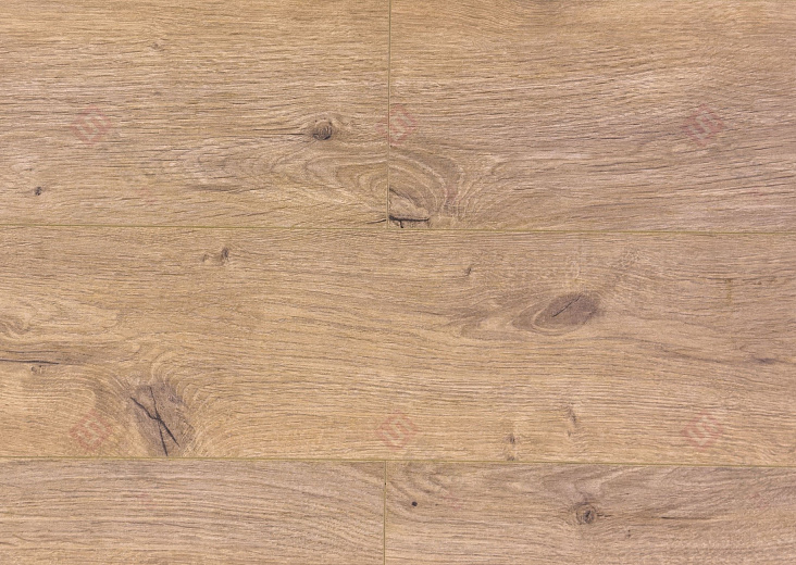 Дуб Арделан ROC45